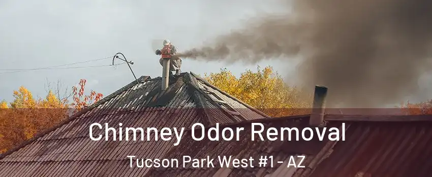 Chimney Odor Removal Tucson Park West #1 - AZ