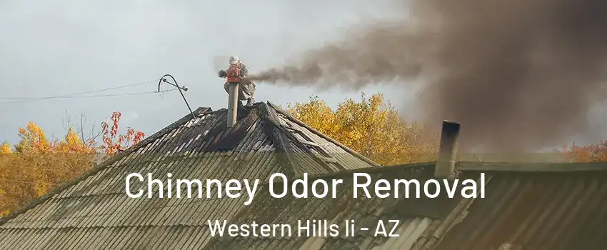 Chimney Odor Removal Western Hills Ii - AZ