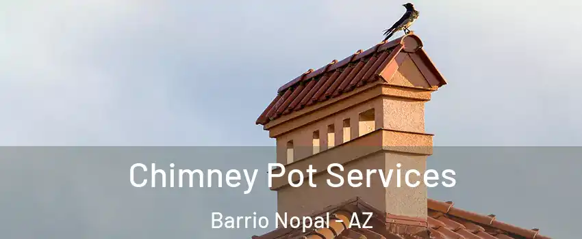 Chimney Pot Services Barrio Nopal - AZ