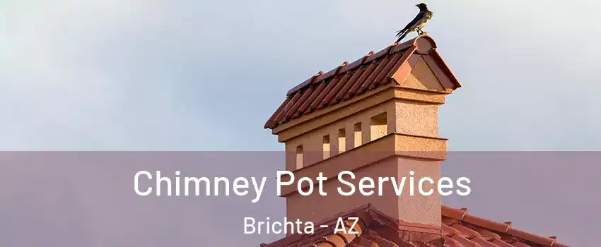 Chimney Pot Services Brichta - AZ