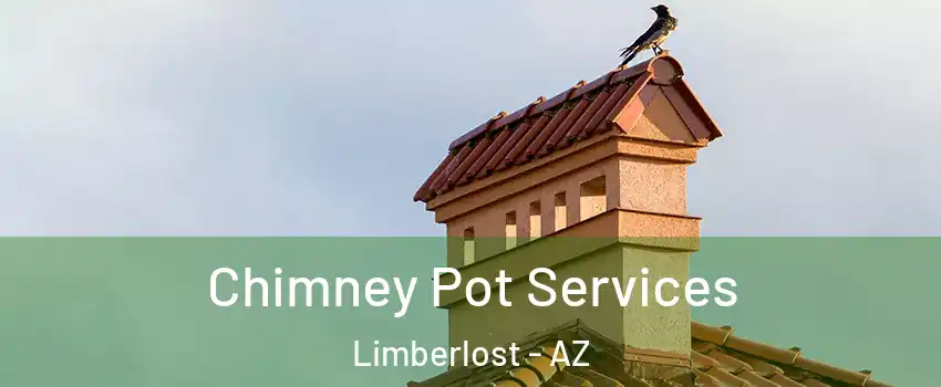 Chimney Pot Services Limberlost - AZ