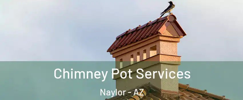 Chimney Pot Services Naylor - AZ