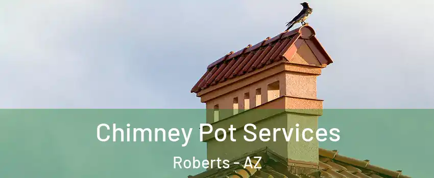 Chimney Pot Services Roberts - AZ