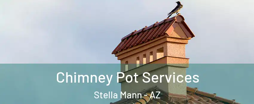 Chimney Pot Services Stella Mann - AZ