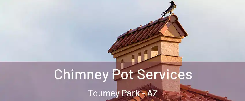 Chimney Pot Services Toumey Park - AZ