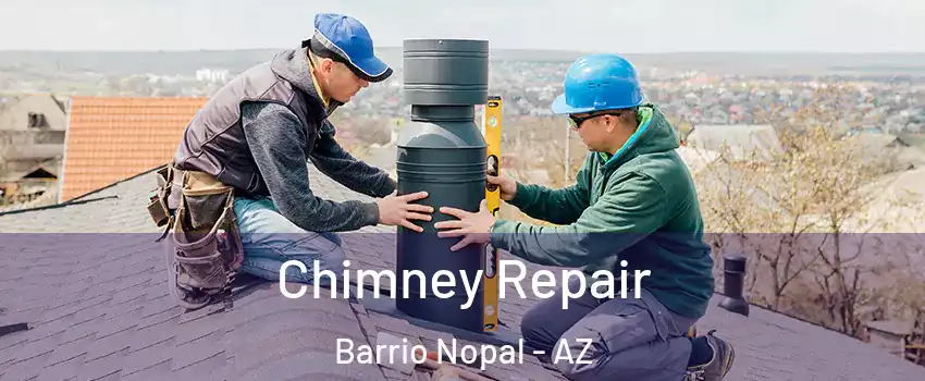 Chimney Repair Barrio Nopal - AZ