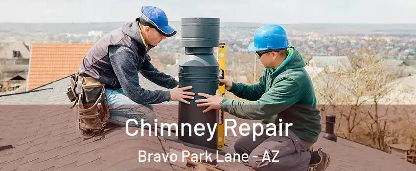 Chimney Repair Bravo Park Lane - AZ