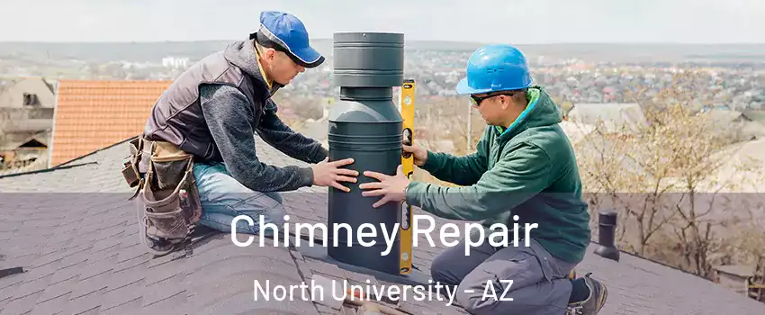 Chimney Repair North University - AZ
