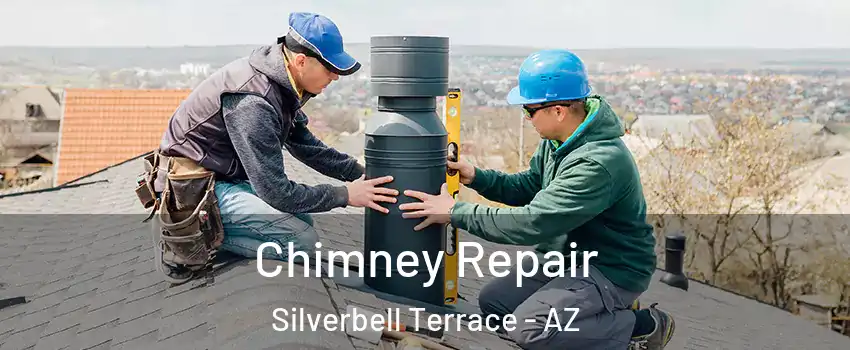 Chimney Repair Silverbell Terrace - AZ