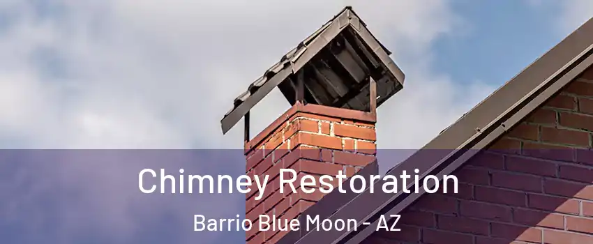 Chimney Restoration Barrio Blue Moon - AZ