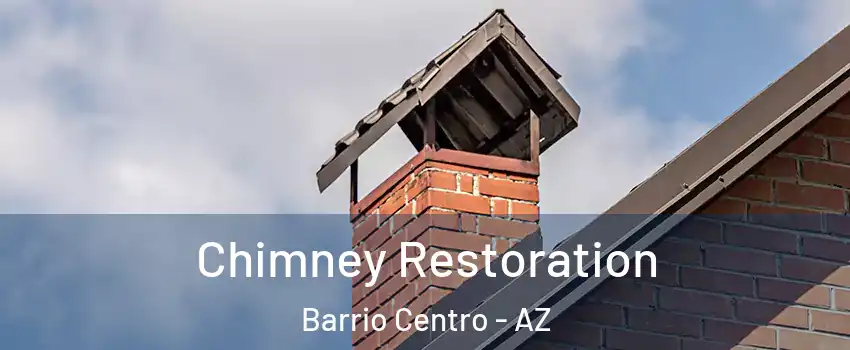 Chimney Restoration Barrio Centro - AZ