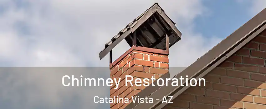 Chimney Restoration Catalina Vista - AZ