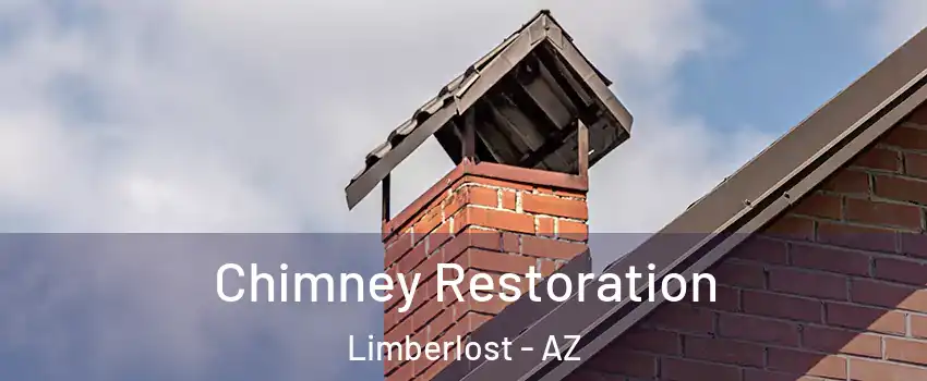 Chimney Restoration Limberlost - AZ