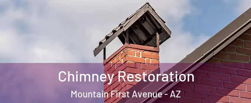 Chimney Restoration Mountain First Avenue - AZ