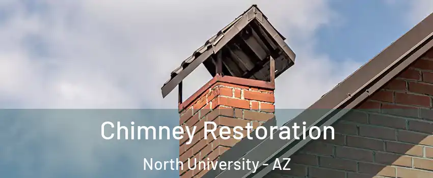 Chimney Restoration North University - AZ