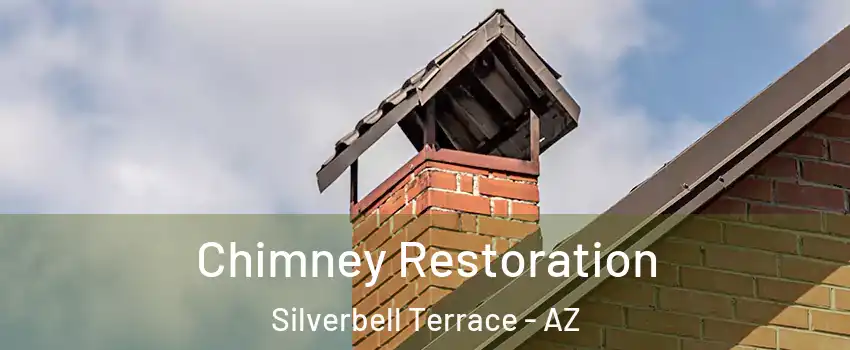 Chimney Restoration Silverbell Terrace - AZ