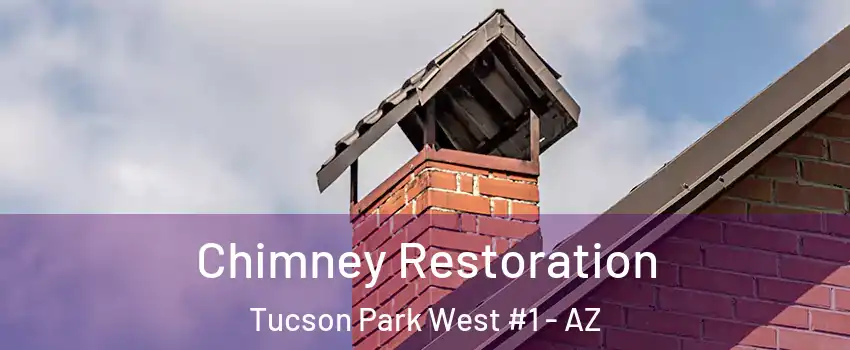 Chimney Restoration Tucson Park West #1 - AZ