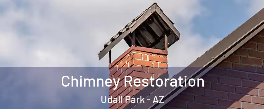 Chimney Restoration Udall Park - AZ