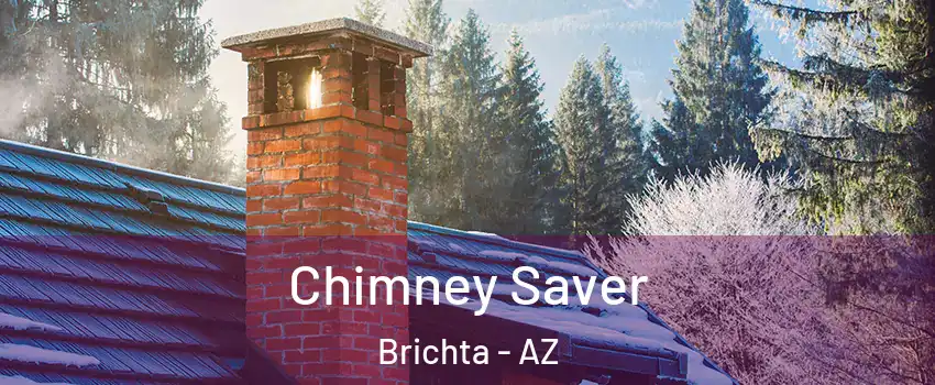 Chimney Saver Brichta - AZ