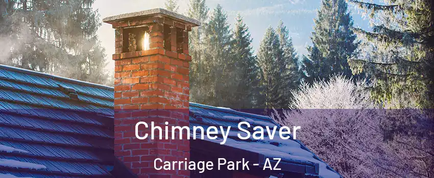 Chimney Saver Carriage Park - AZ