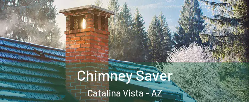 Chimney Saver Catalina Vista - AZ