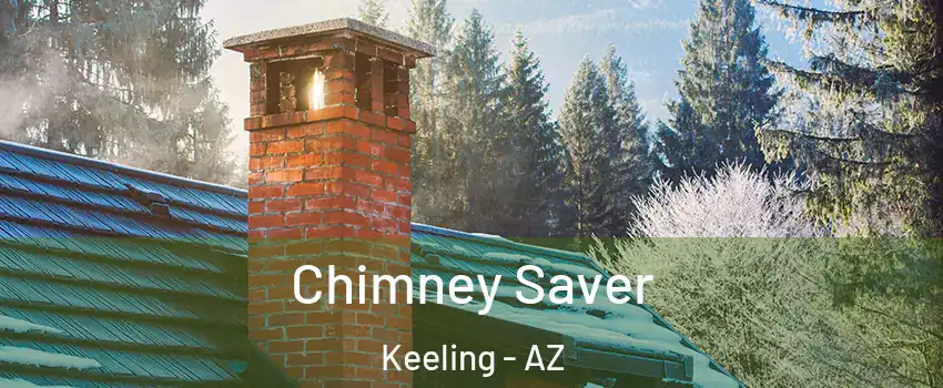 Chimney Saver Keeling - AZ