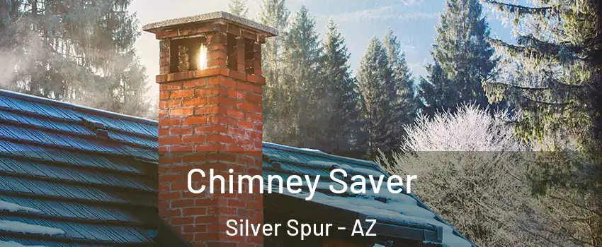 Chimney Saver Silver Spur - AZ