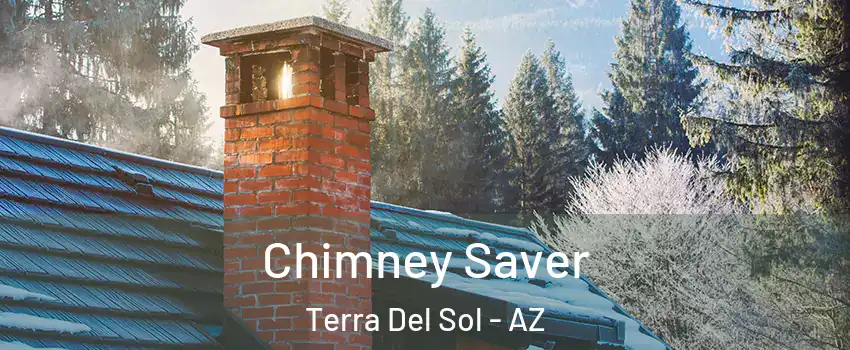 Chimney Saver Terra Del Sol - AZ