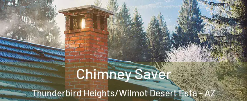 Chimney Saver Thunderbird Heights/Wilmot Desert Esta - AZ
