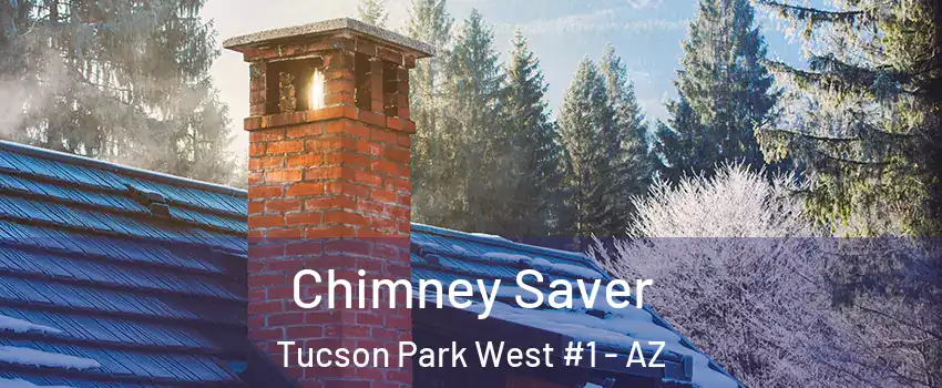 Chimney Saver Tucson Park West #1 - AZ