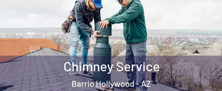 Chimney Service Barrio Hollywood - AZ