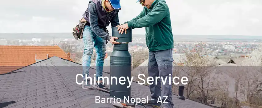 Chimney Service Barrio Nopal - AZ