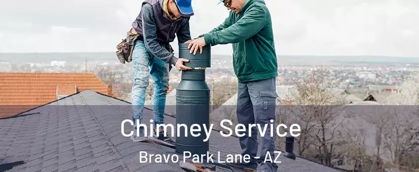 Chimney Service Bravo Park Lane - AZ