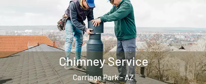 Chimney Service Carriage Park - AZ