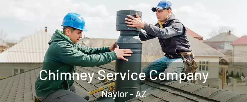 Chimney Service Company Naylor - AZ