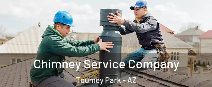 Chimney Service Company Toumey Park - AZ
