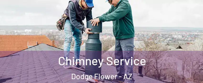 Chimney Service Dodge Flower - AZ