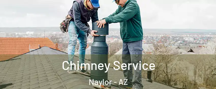 Chimney Service Naylor - AZ