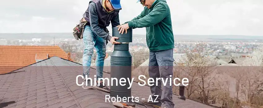 Chimney Service Roberts - AZ