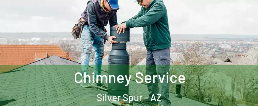 Chimney Service Silver Spur - AZ