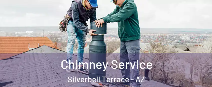 Chimney Service Silverbell Terrace - AZ