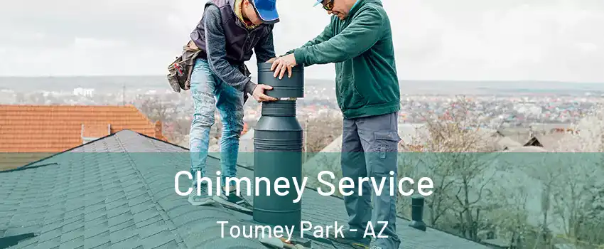 Chimney Service Toumey Park - AZ