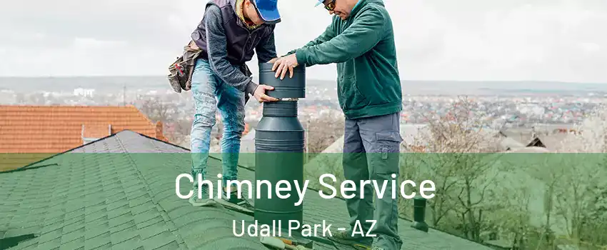 Chimney Service Udall Park - AZ