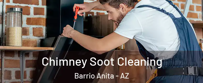 Chimney Soot Cleaning Barrio Anita - AZ