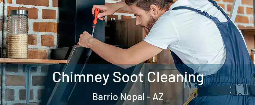Chimney Soot Cleaning Barrio Nopal - AZ