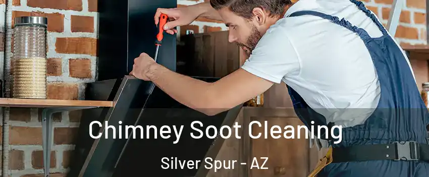Chimney Soot Cleaning Silver Spur - AZ