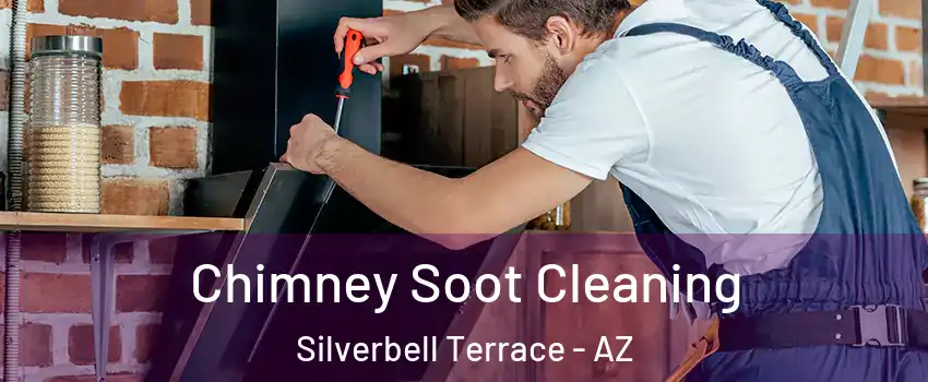 Chimney Soot Cleaning Silverbell Terrace - AZ