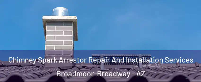 Chimney Spark Arrestor Repair And Installation Services Broadmoor-Broadway - AZ