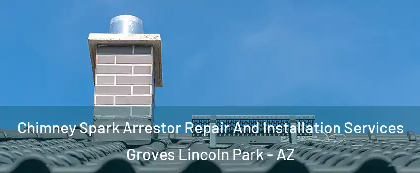 Chimney Spark Arrestor Repair And Installation Services Groves Lincoln Park - AZ