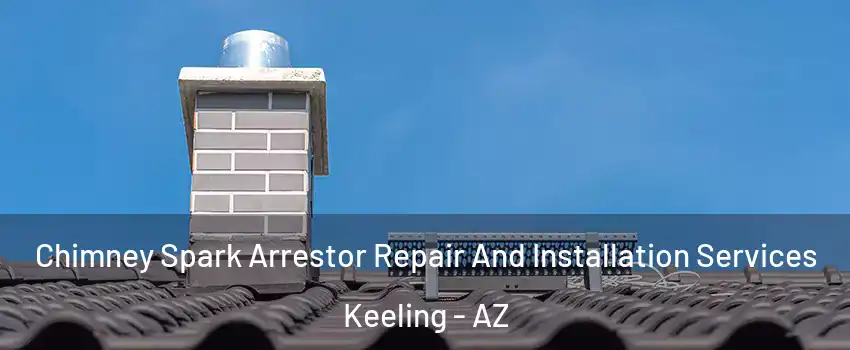 Chimney Spark Arrestor Repair And Installation Services Keeling - AZ